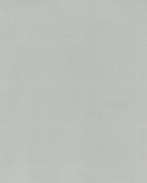 Hattan Palette | 81 Ash
